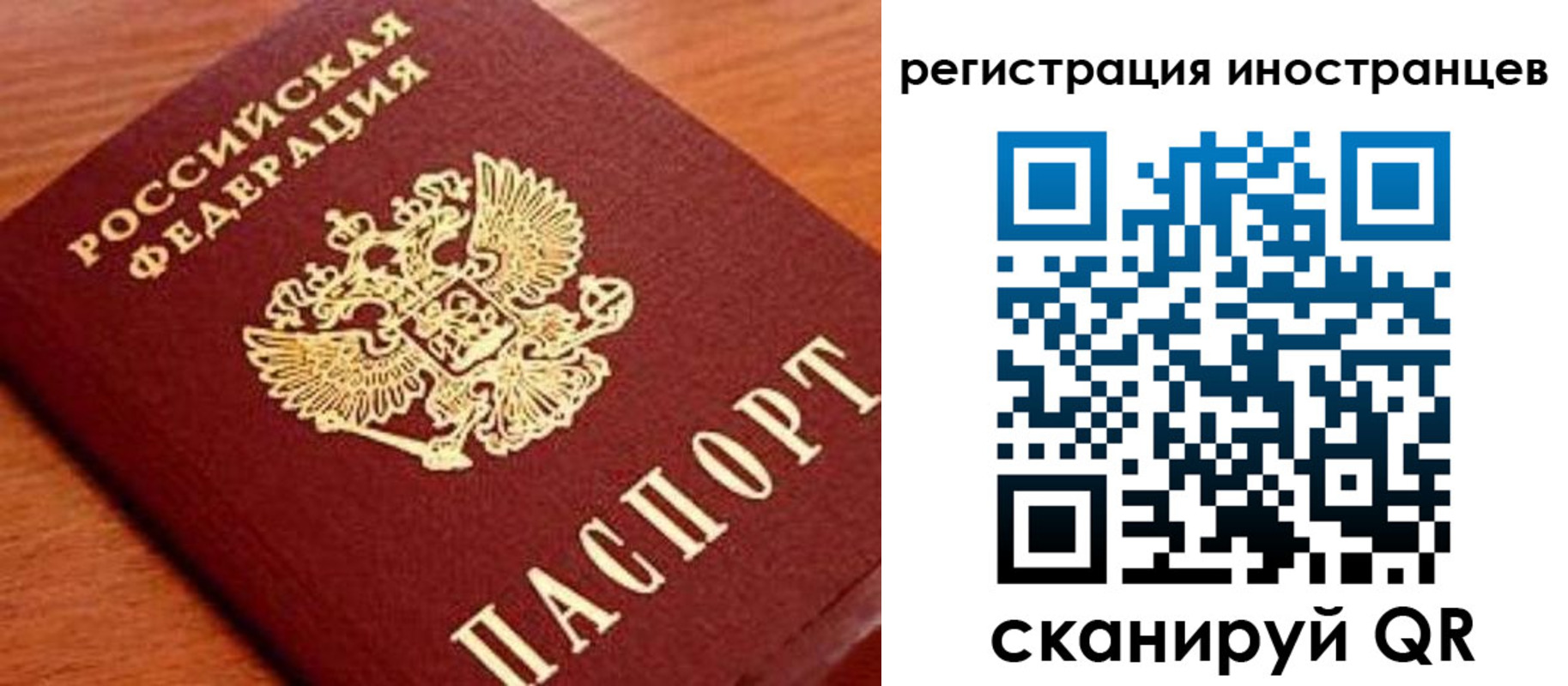 временная регистрация поиск в Острогожске